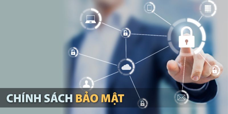 Tổng hợp các dữ liệu được thu thập theo chính sách bảo mật