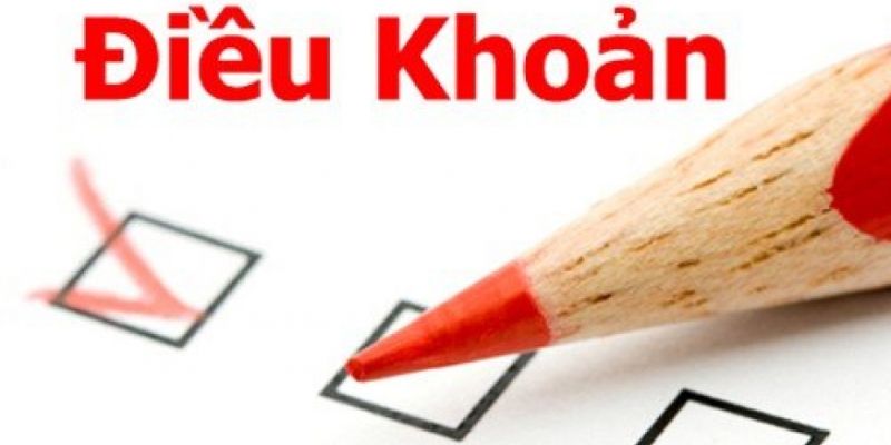 Điều khoản dịch vụ quy định trách nhiệm hội viên